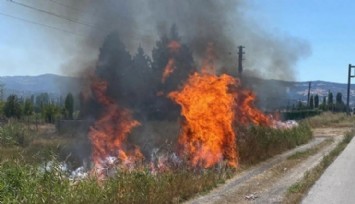 Antalya'da Orman Yangını!