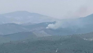 Manisa'da Orman Yangını!
