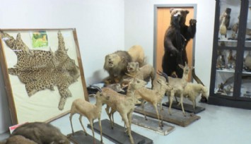 Türkiye'nin İlk Zooloji Müzesi!