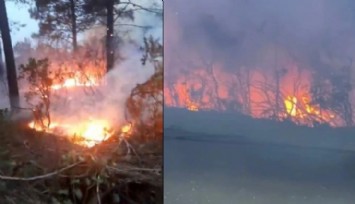 İstanbul'da Orman Yangını!