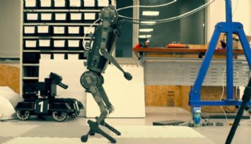 Robot Köpekler Evrim Geçiriyor!