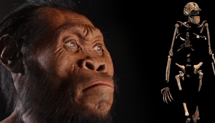 Homo Naledi: Ateşi Kullandığına Dair İlk Kanıt!
