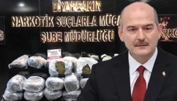 Kökünü Kurutma Operasyonu başladı