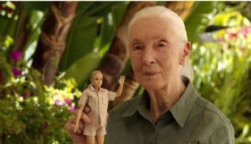 Jane Goodall'ın Bebeği Yapıldı!