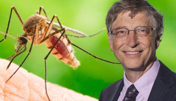 Bill Gates’in Sivrisinek Fabrikaları!
