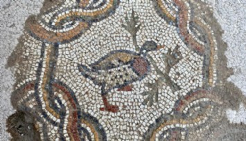 Hadrianaupolis'te Yeni Mozaikler!