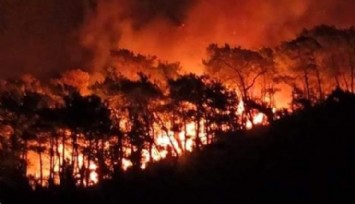 Muğla'da Orman Yangını!