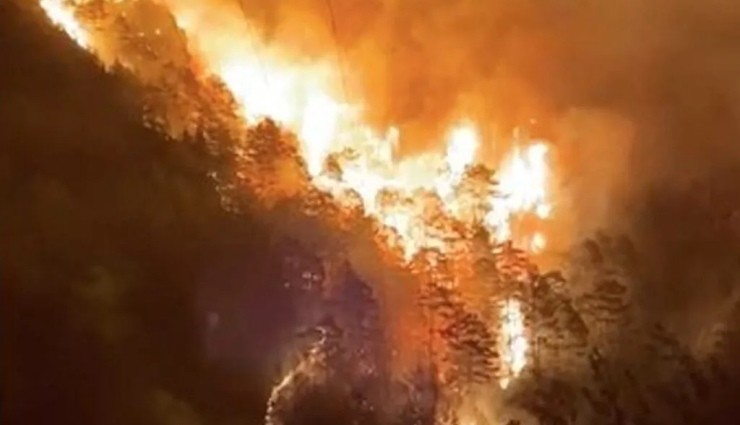 Alanya'da Orman Yangını!