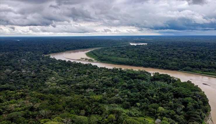 Amazonlarda Orman Kaybı Endişe Verici!