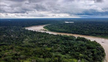 Amazonlarda Orman Kaybı Endişe Verici!