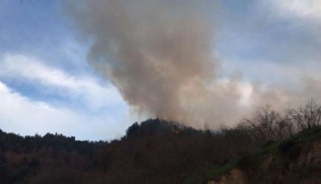 Karasu’da Orman Yangını Çıktı!