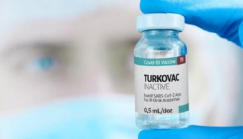 Turkovac Aşısı Ne Aşamada?