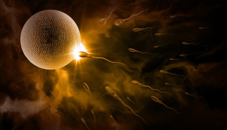 İnsan Spermleri Fizik Kurallarını Çiğniyor!