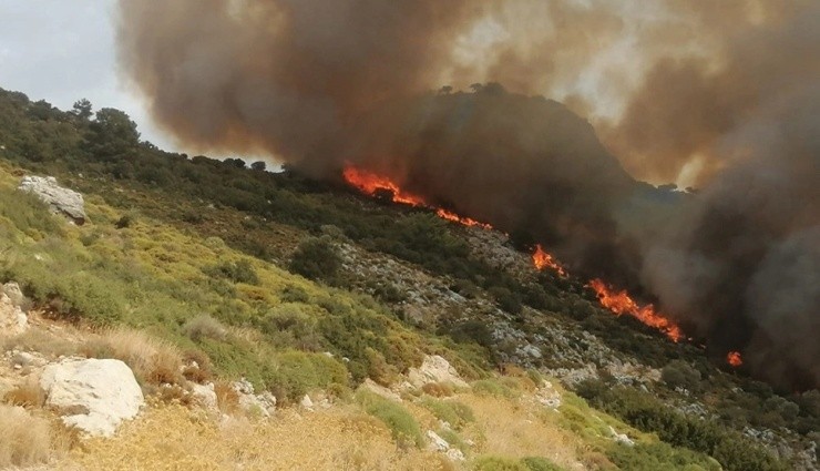 Muğla'da Makilik Alanda Yangın!