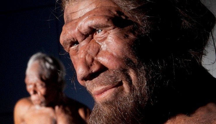 Neandertaller 'Başka Bir İnsan Türü' Olabilir!