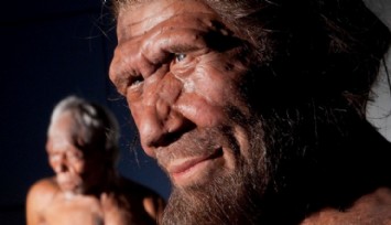 Neandertaller 'Başka Bir İnsan Türü' Olabilir!
