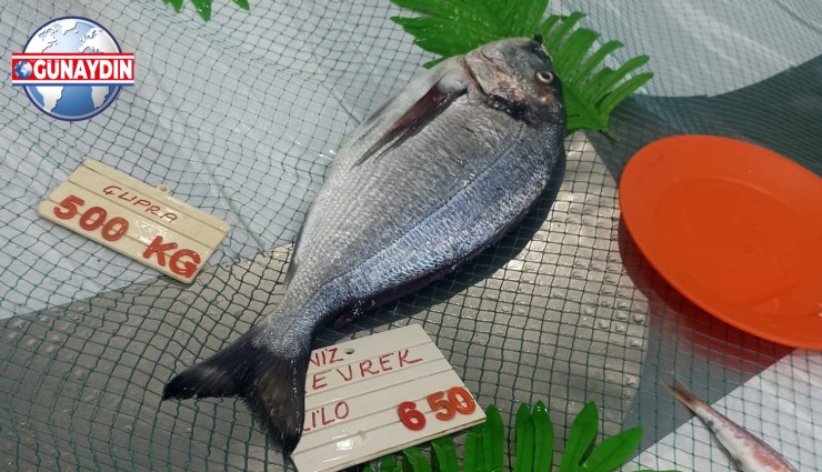 ÖZEL: Balık Fiyatları Uçuşa Geçti!