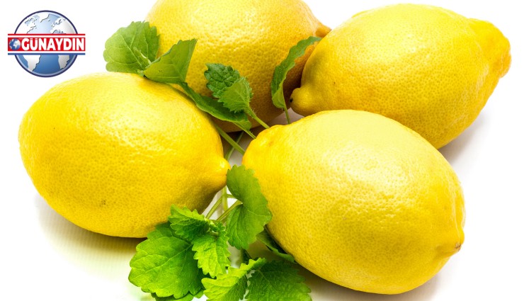 ÖZEL: Limon Tarlada 3, Markette 32 Lira