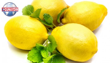 ÖZEL: Limon Tarlada 3, Markette 32 Lira