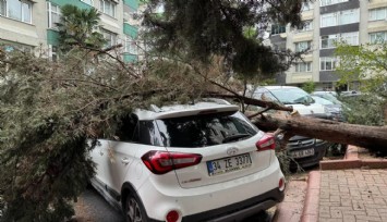 Fırtına İstanbul'u Perişan Etti!