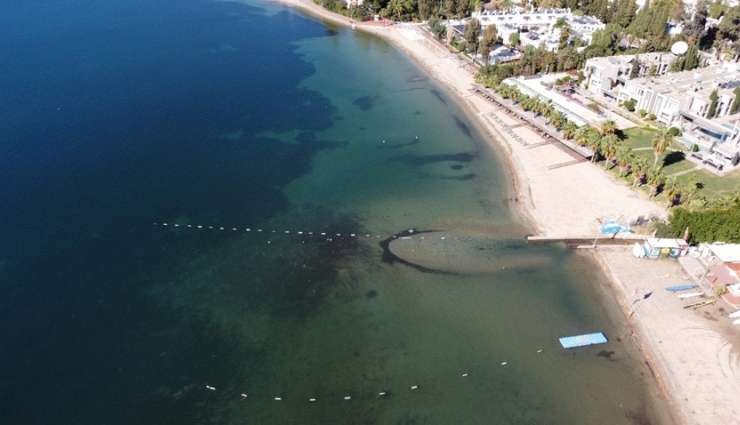 Muğla'da Deniz Kahverengiye Büründü!