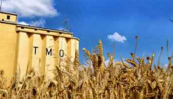 TMO'nun Deposundan 7 Bin 500 Ton Buğday Çalındı!