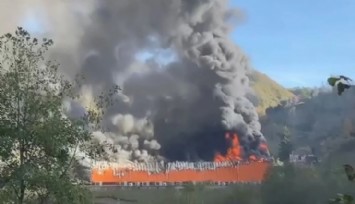 Giresun'da Balık Fabrikasında Yangın!