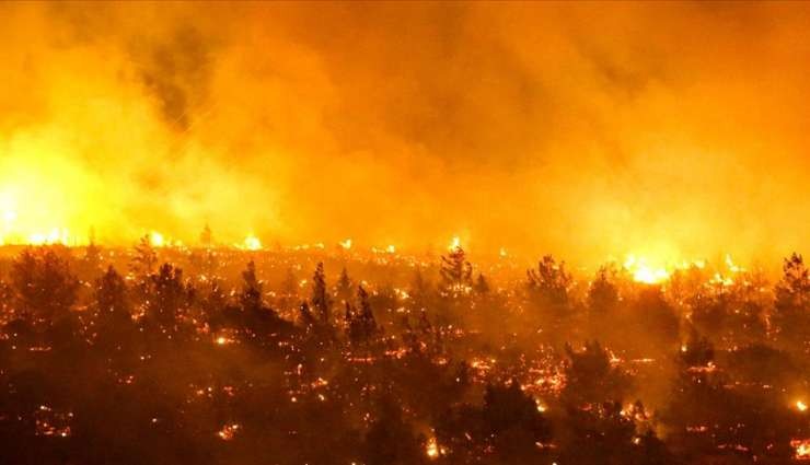 Şili'de Orman Yangınlarında 13 Kişi Öldü!