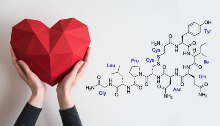 Aşk Hormonu 'Oksitosin' Kalbi İyileştiriyor!