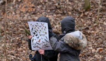 Miniklere İskandinav Soğuklarında Ormanda Eğitim!