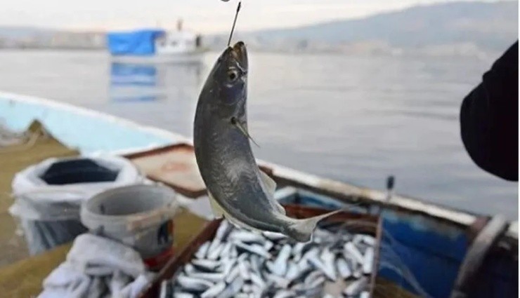 Balık Avı Yasağı Başladı!