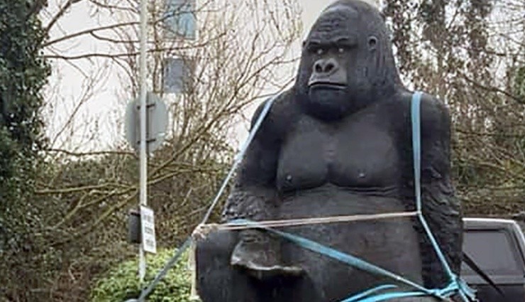 Polis, 2,5 Metrelik Dev Goril Heykelini Arıyor!