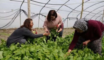 Selvi Kılıçdaroğlu Çiftçi Kadınlarla Buluştu!