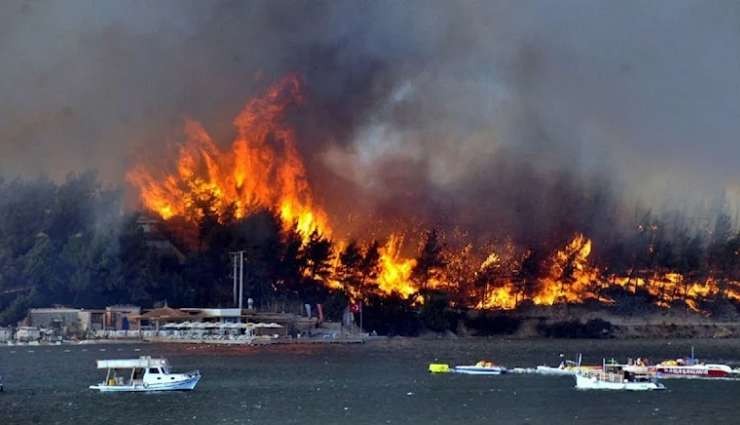 Bodrum’daki Yangının Faili Ormanı 100 Bin TL’ye Yakmış!