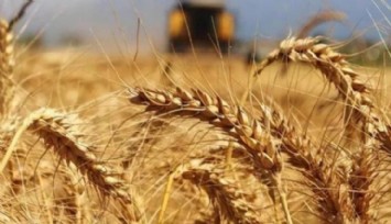 Buğday İthalatına 26 Milyar Dolar Ödendi!