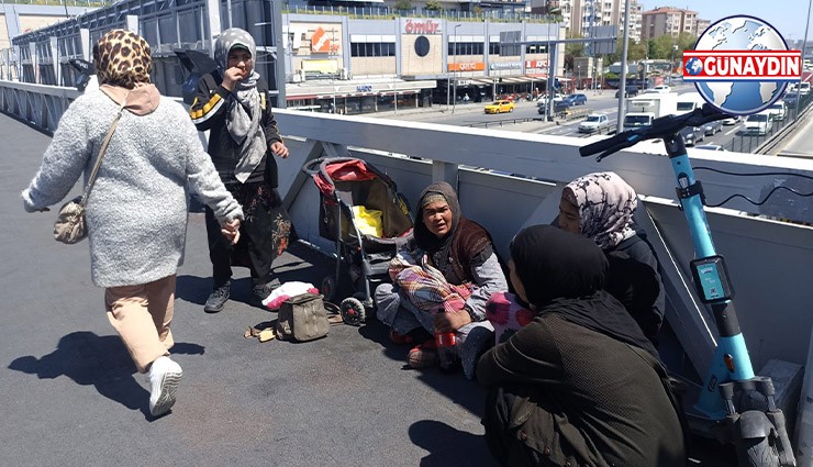 ÖZEL: Burası Mülteci Kampı Değil, İstanbul İncirli!