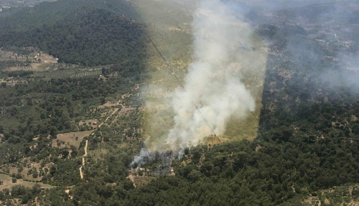 Bergama'da Orman Yangını!
