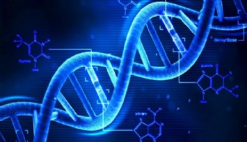 DNA Testiyle 100 Milyon Liralık Mirasa Ortak Oldu!