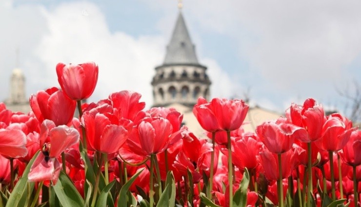 İstanbul Lale Vakfı ve ISATAG Bir Arada!