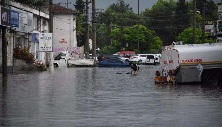 Ordu'da Sel Tehlikesi: Eğitime 1 Gün Ara!