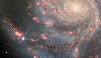 Yeni Keşfedilen Süpernova Görüntülendi!