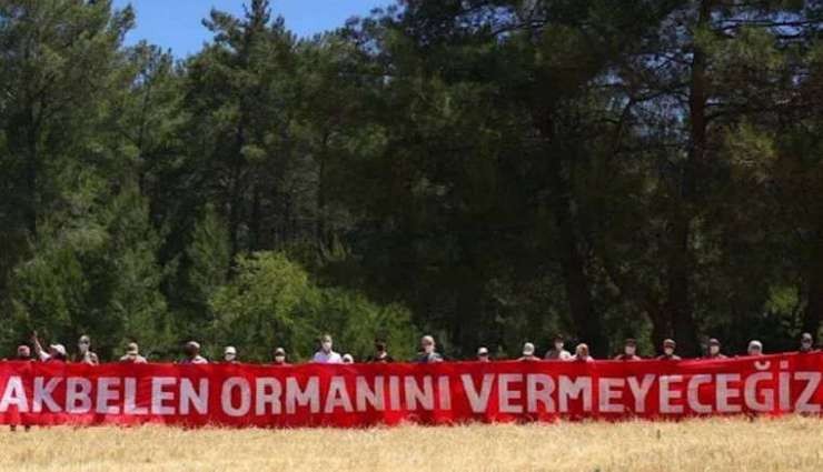 Akbelen Ormanı’nın Korunması İçin Ortak Çağrı!