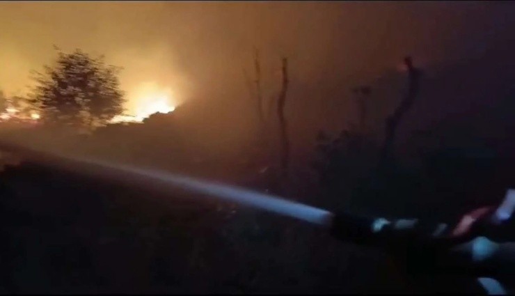 Diyarbakır'da Orman Yangın!