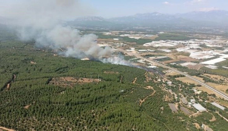 FLAŞ! Antalya'nın İki İlçesinde Orman Yangını!