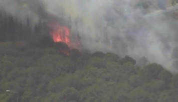 İstanbul Kağıthane’de Orman Yangını!