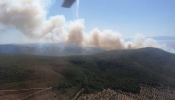 İzmir Çeşme'de Orman Yangını!