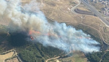 İzmir'in İki İlçesinde Orman Yangını!