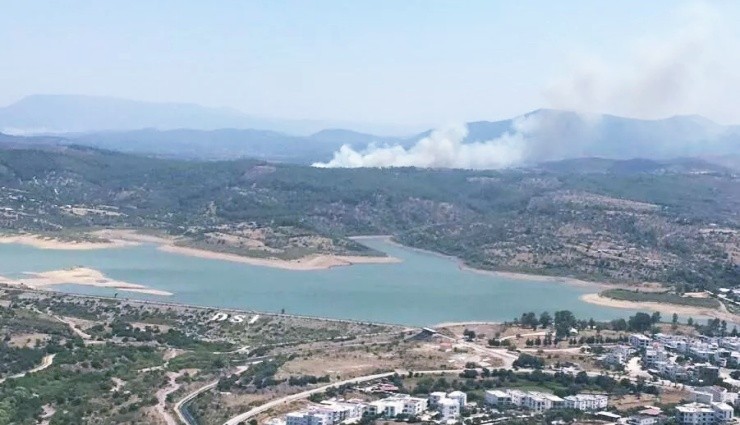 Milas'ta Orman Yangını!