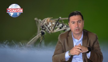 ÖZEL: Asya Kaplan Sivrisineği Bodrum'u İstila Etti!