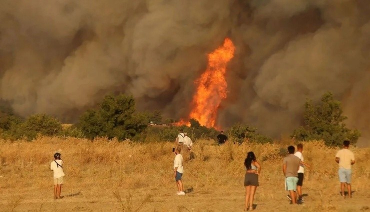 Çanakkale'deki Orman Yangınında 3. Gün!